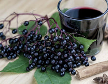 Load image into Gallery viewer, Elderberry Syrup
